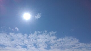 IMG_20241108_105315~2.jpg