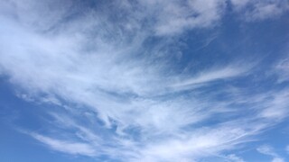 IMG_20241110_124159.jpg
