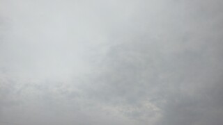 IMG_20241115_164142~2.jpg