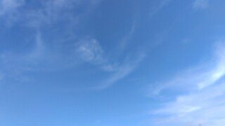 IMG_20241120_111311.jpg