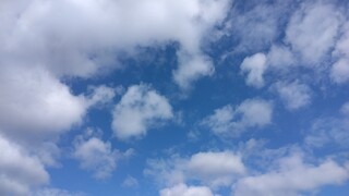 IMG_20241123_112338.jpg