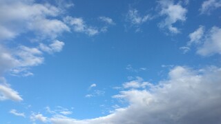 IMG_20241127_152937~2.jpg