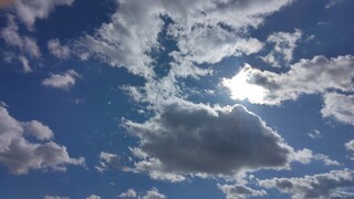 IMG_20241129_121145.jpg