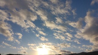 IMG_20241212_160256.jpg