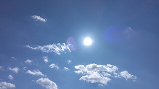 IMG_20250206_113225~2.jpg