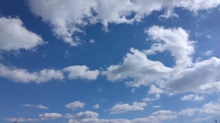 IMG_20250206_120240.jpg