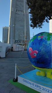 IMG_20250211_160418.jpg