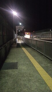 IMG_20250212_053827~2.jpg