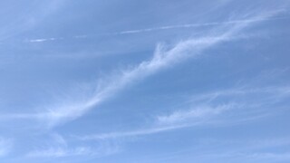 IMG_20250314_125037.jpg