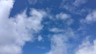 IMG_20250317_124530.jpg