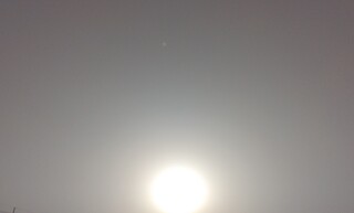 IMG_20250326_170118.jpg