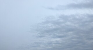 IMG_20250420_061836~2.jpg